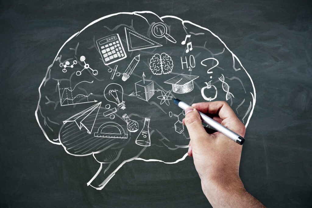 Esquema visual sobre las bases cerebrales que sustentan las estrategias de neuroeducación para el pensamiento crítico.