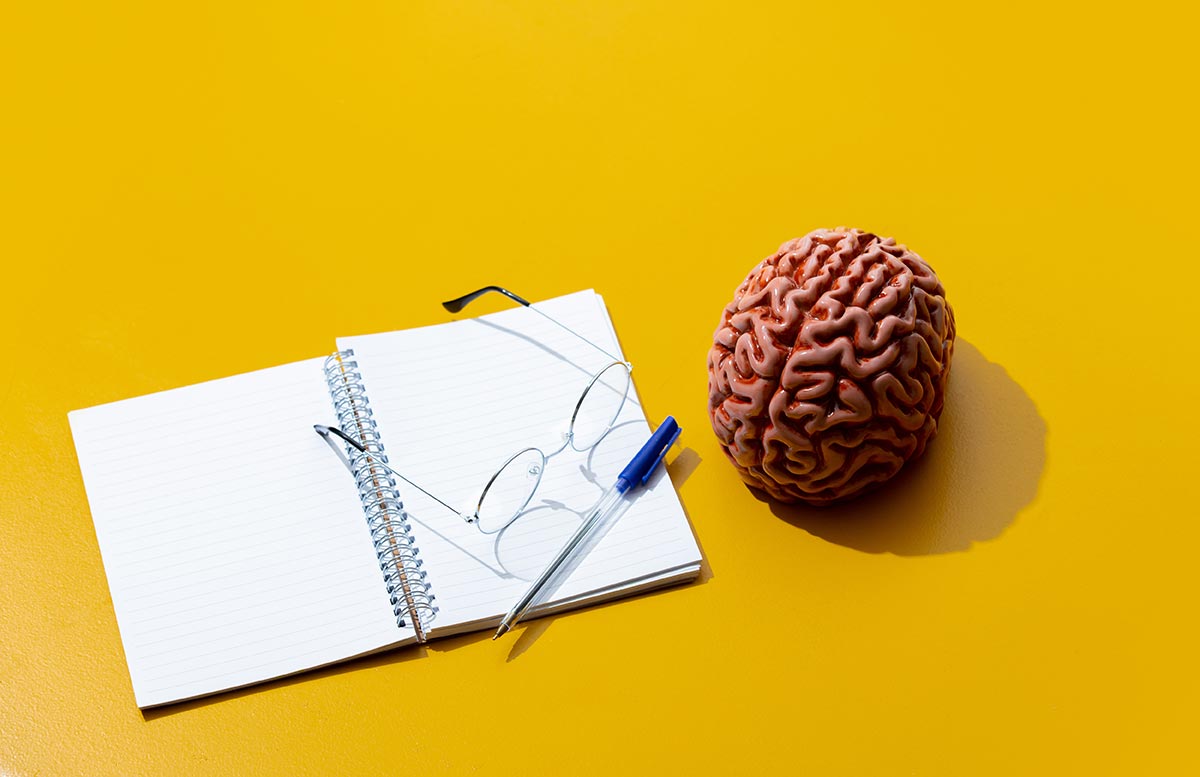 Imagen destacada de “Los hemisferios cerebrales: Funciones, características y diferencias”