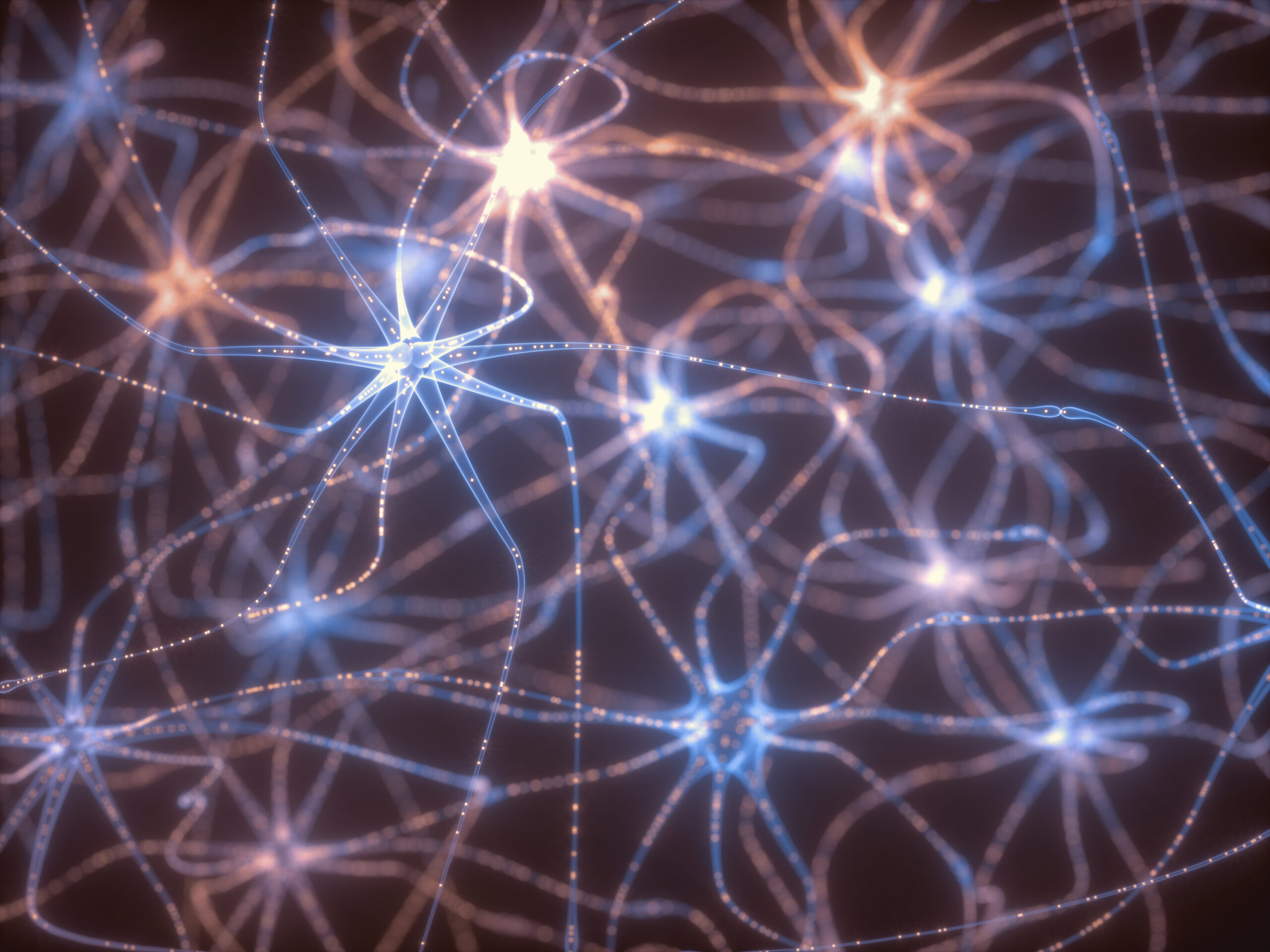 Imagen destacada de “Las Neuronas Espejo, ¿por qué son tan importantes?”