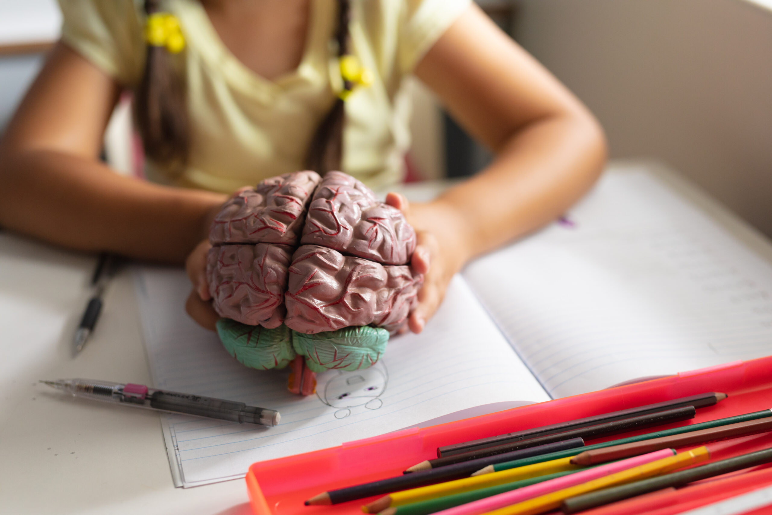 Imagen destacada de “¿Qué es la Neuroeducación? El aprendizaje desde la Neurociencia”