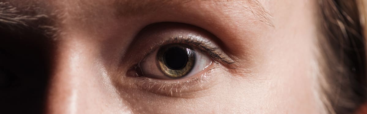 Imagen destacada de “EMDR en el tratamiento del TEPT complejo: abordaje de traumas múltiples”